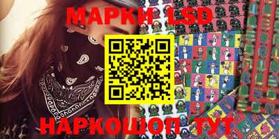 шишки Заволжье