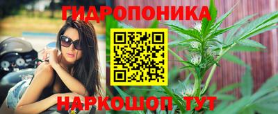 гидра Заводоуковск