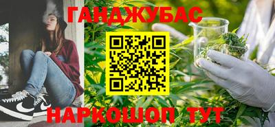 гидра Заводоуковск