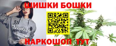 гидра Заводоуковск