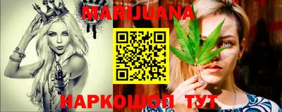 гидра Заводоуковск