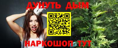 гидра Заводоуковск