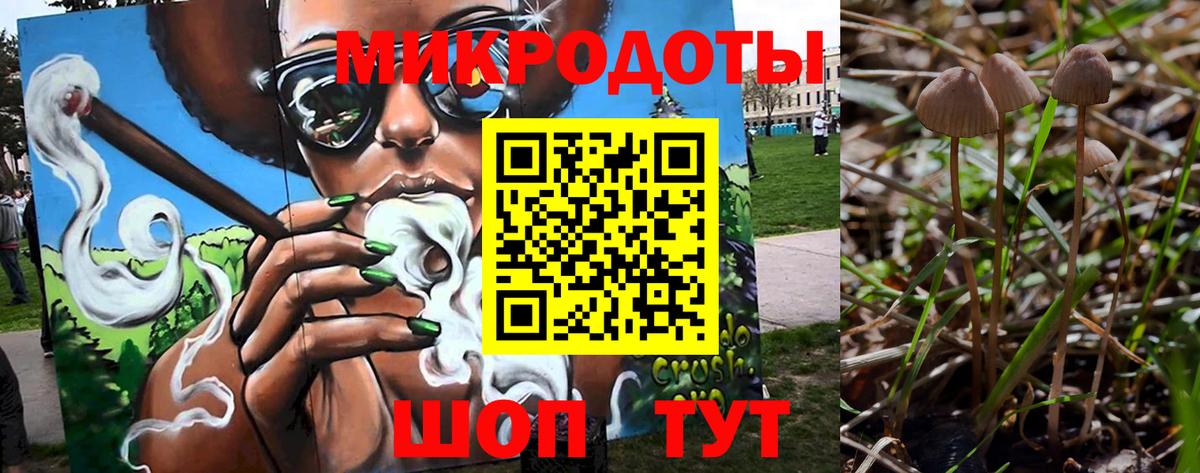 Галлюциногенные грибы мухоморы  Вход с VPN  Галлюциногенные грибы ЛСД  Куйбышев 